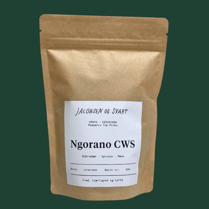 Main Image Jacobsen & Svart - Ngorano CWS