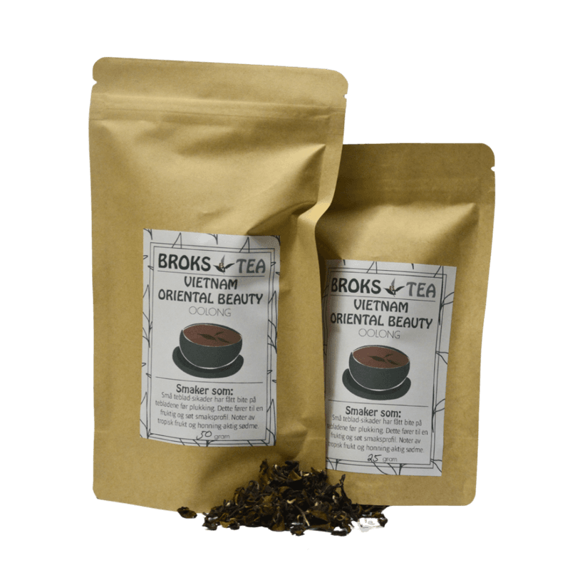 Vietnam Oriental Beauty