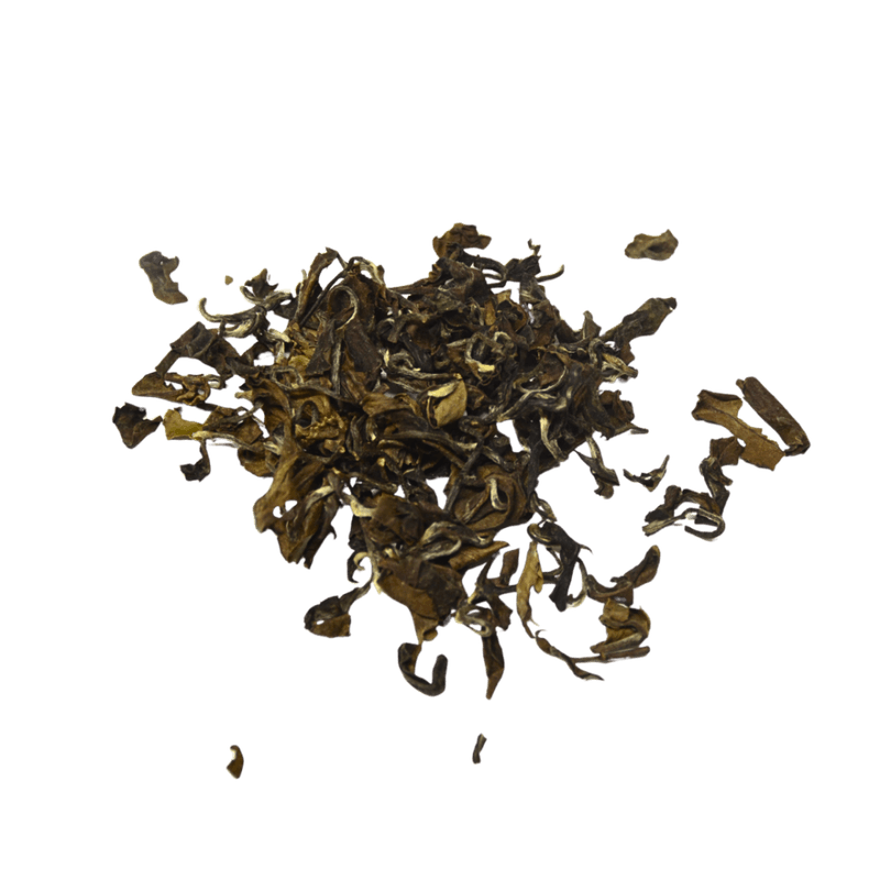 Vietnam Oriental Beauty